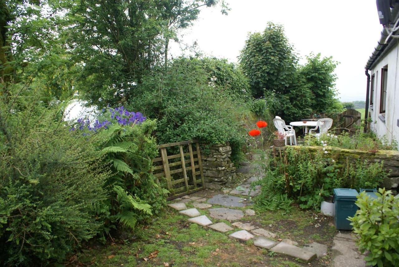 Inviting 2-Bed Cottage In Newcastle Emlyn Exterior foto